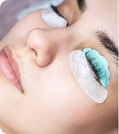 Volume Lashes