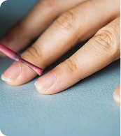 Nail Anatomy