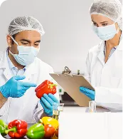 Food Safety