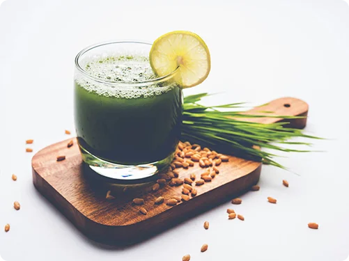 Ayurvedic Dietician Course